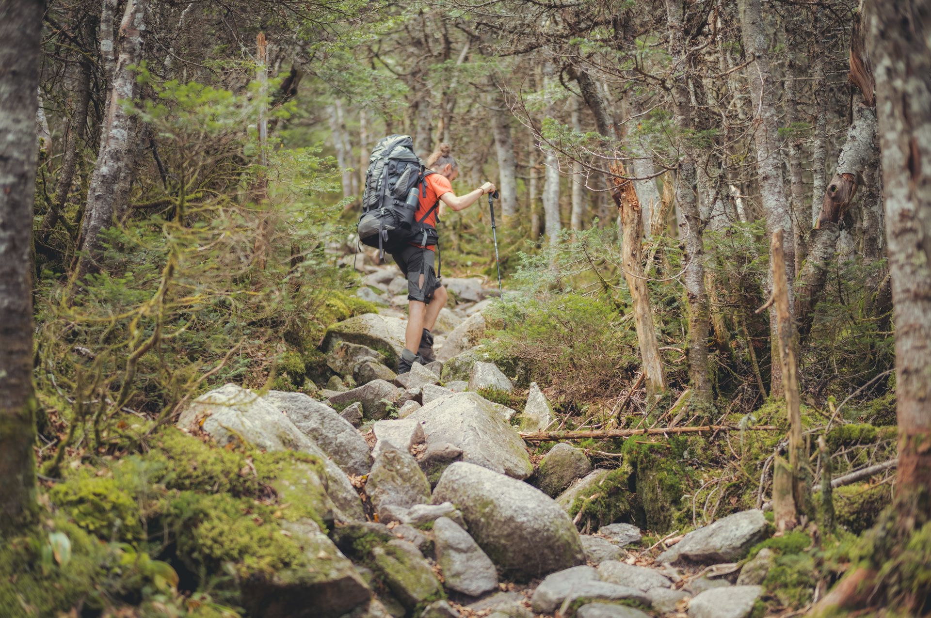 Trekking