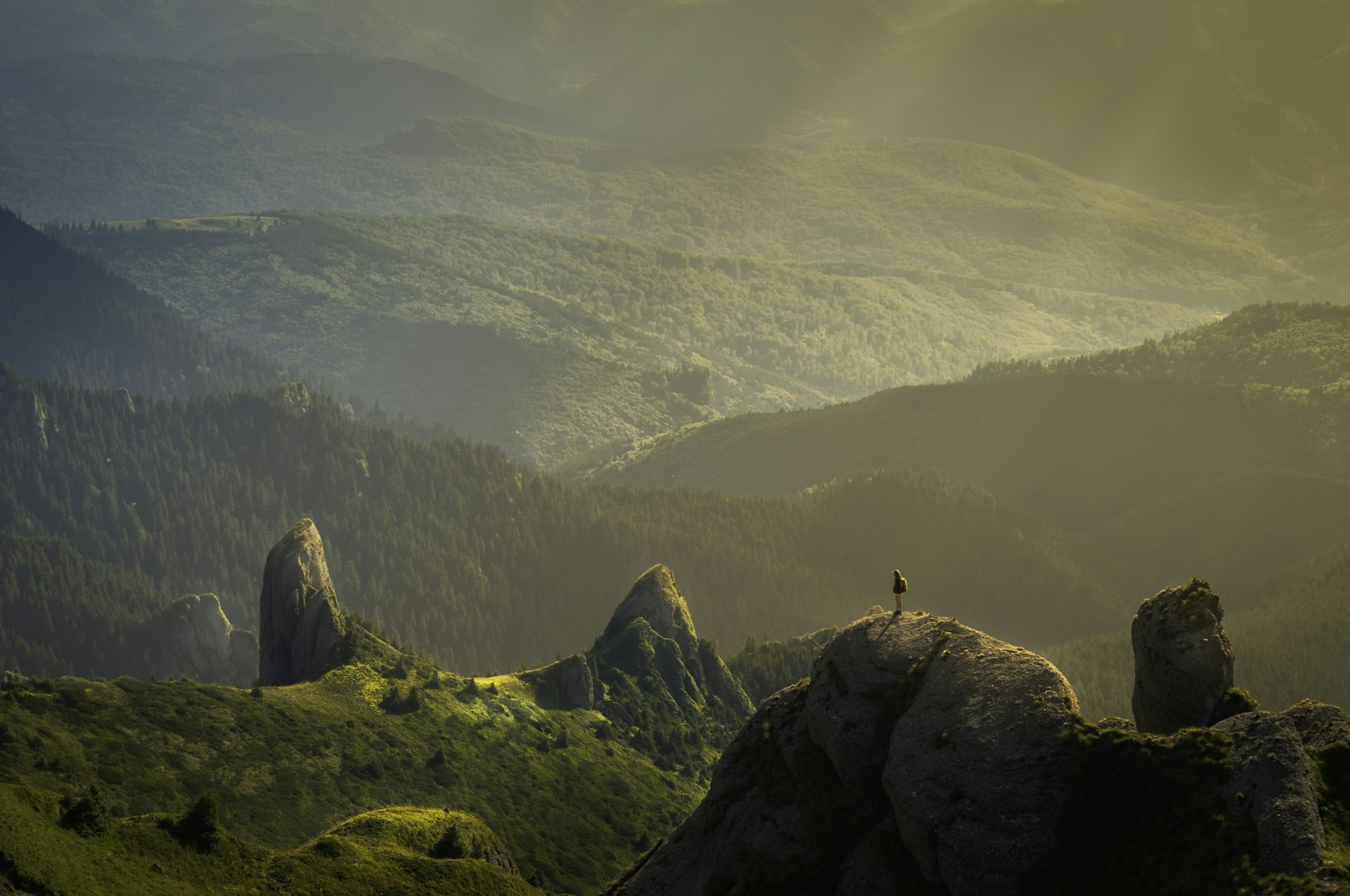 Beautiful landscape with birds and hiking trails